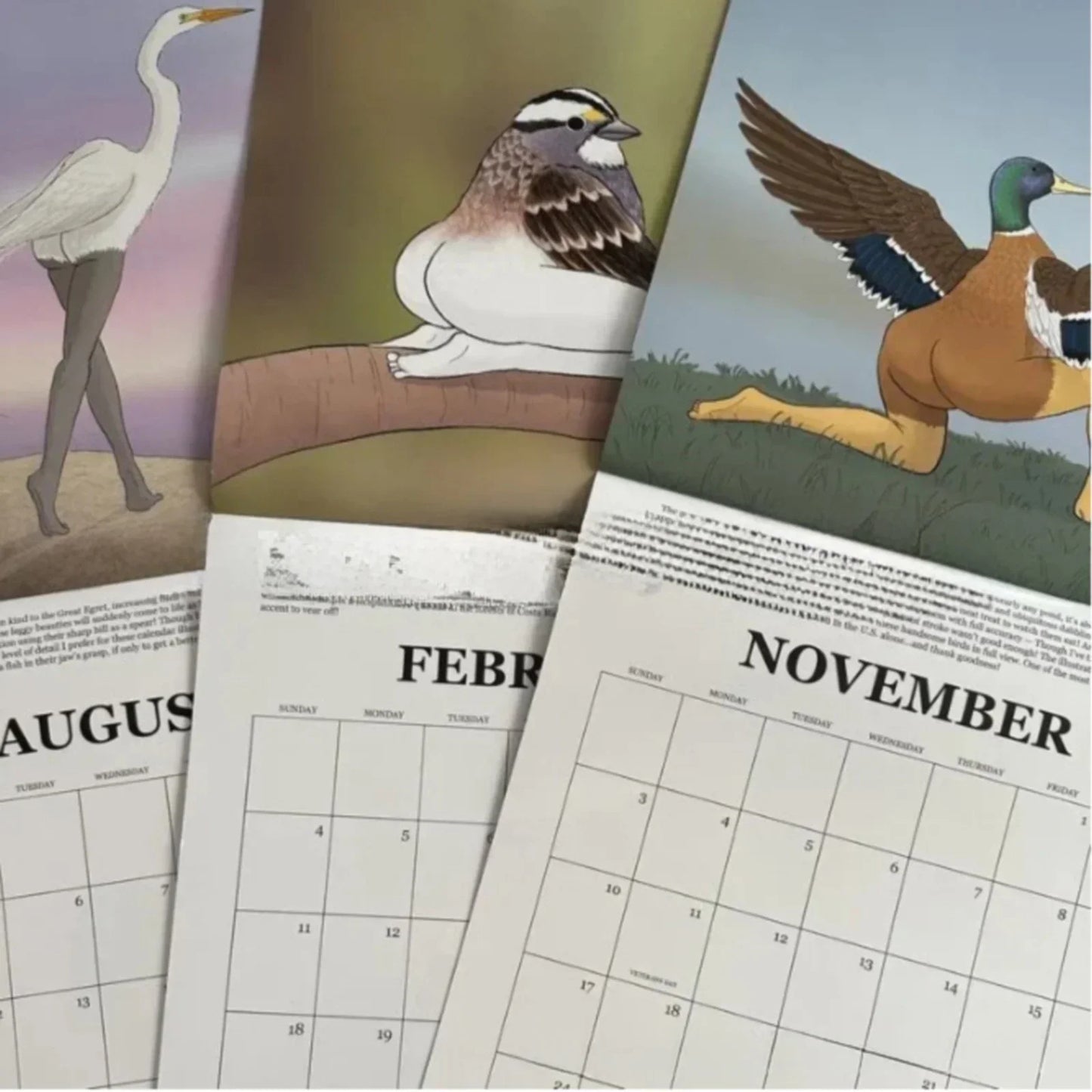2026 Calendar of Extremely Accurate Birds