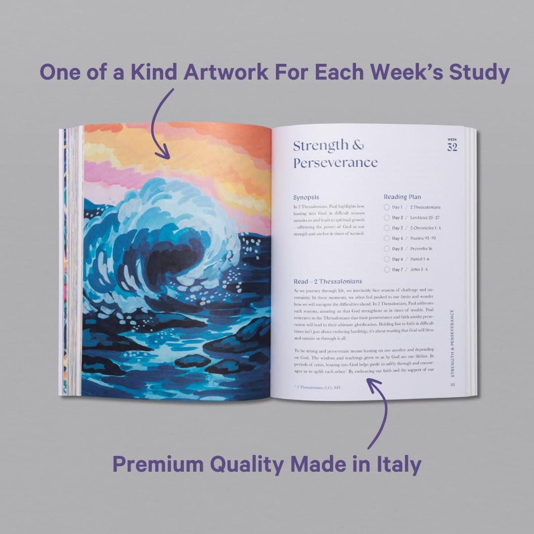 A Beautiful Year in the Bible 📖✨