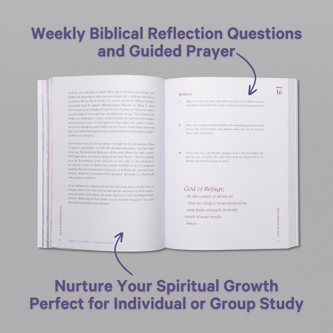 A Beautiful Year in the Bible 📖✨