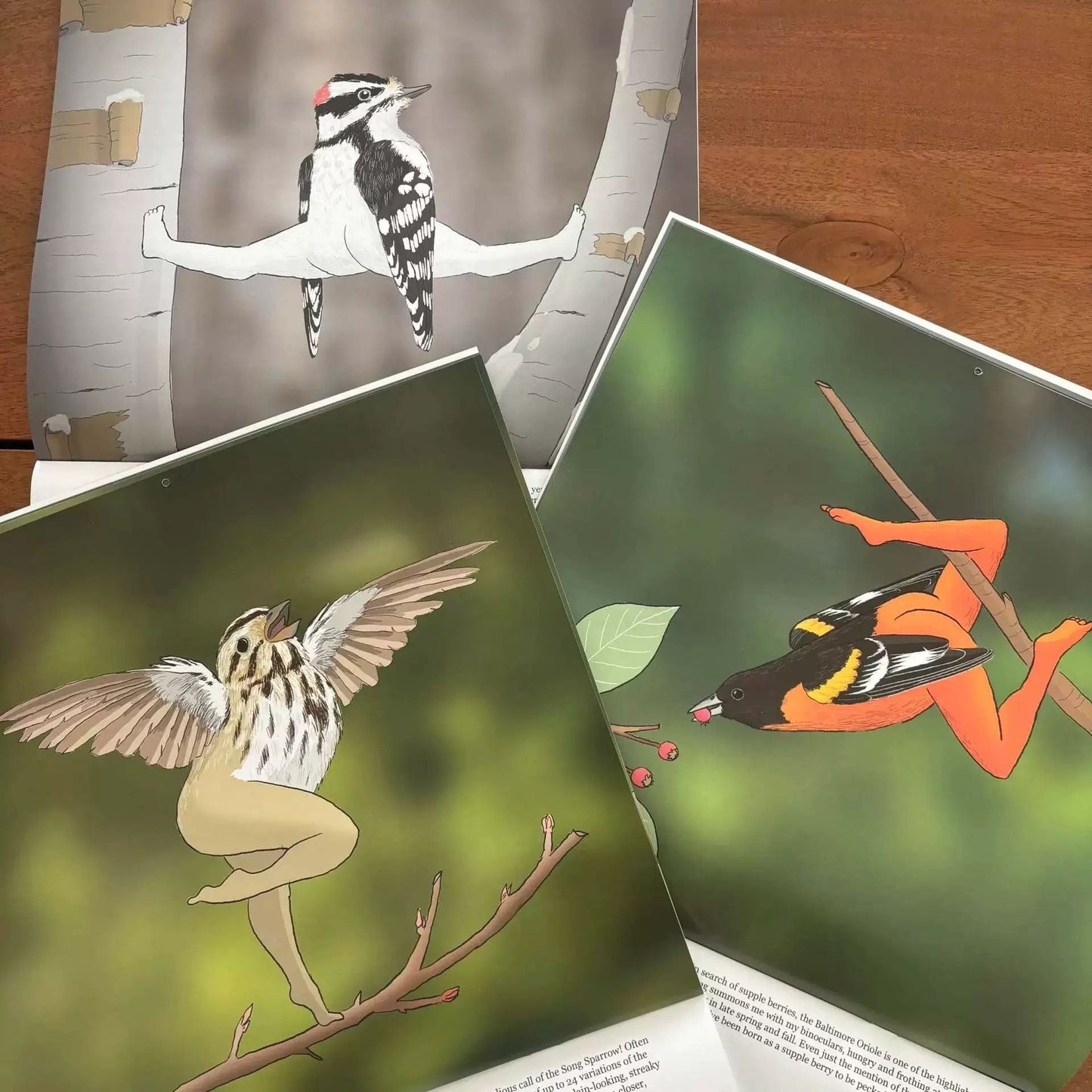 2026 Calendar of Extremely Accurate Birds