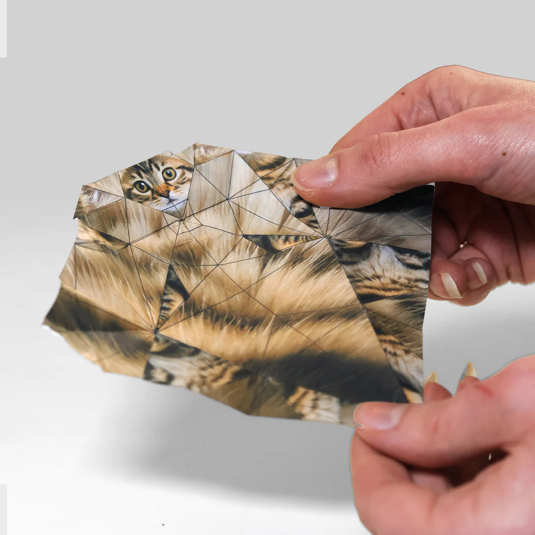 Paper Animals Cute DIY Origami Kit