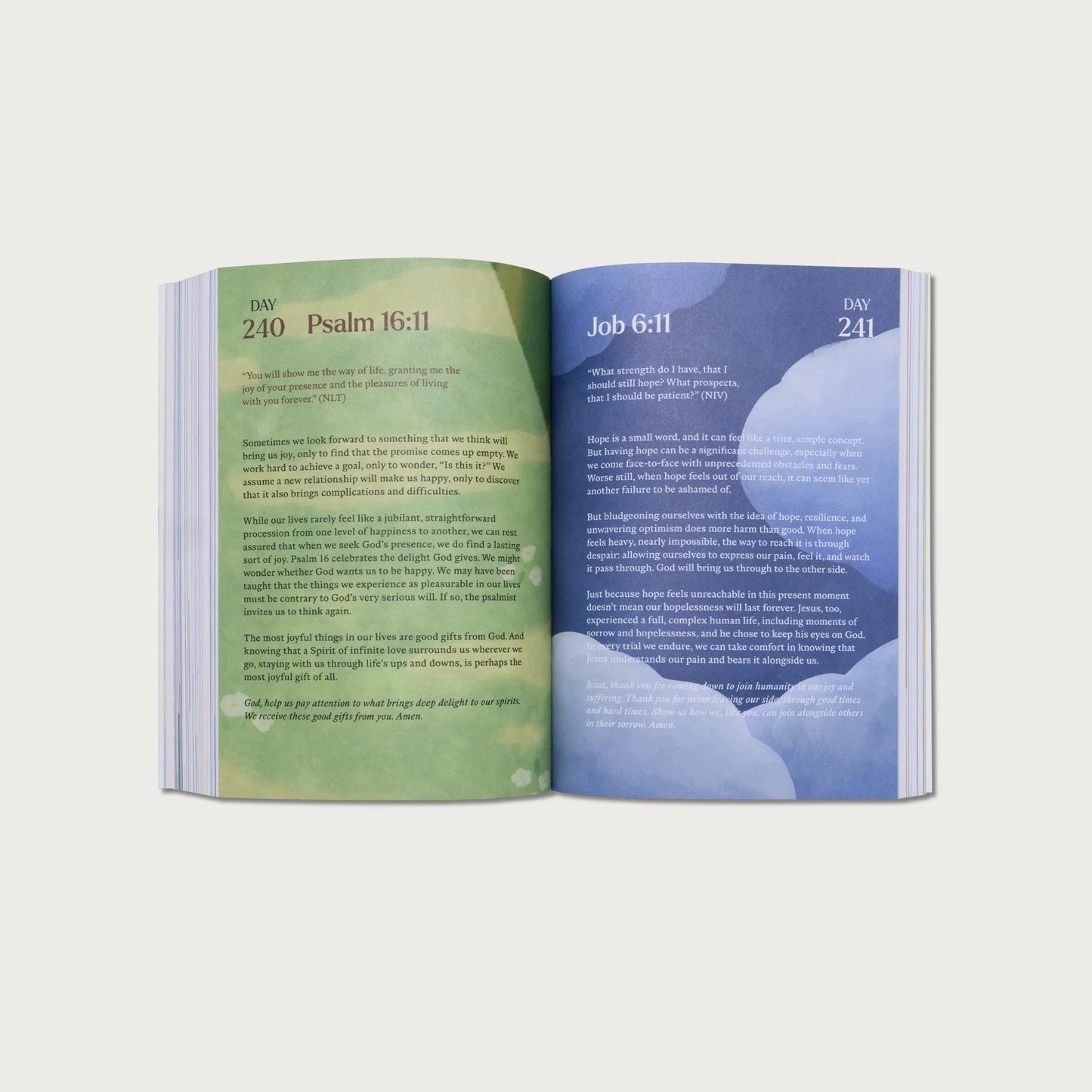 A Beautiful Year with Jesus: 365-Day Devotional