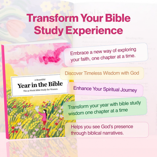 A Beautiful Year in the Bible 📖✨